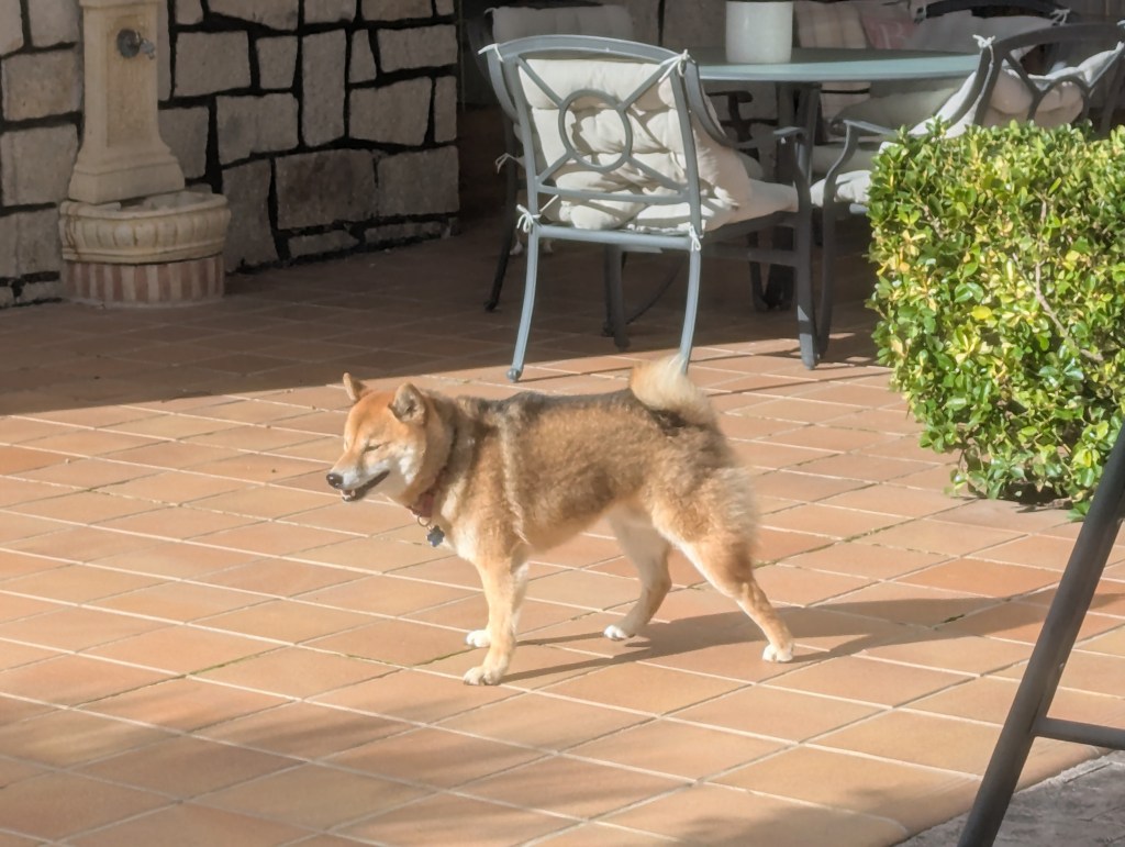 Super exciting JP, boring Elyce (13/02/26-14/02/26)